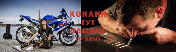прущие крисы Абаза
