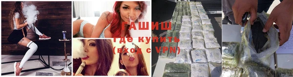 прущие грибы Снежногорск