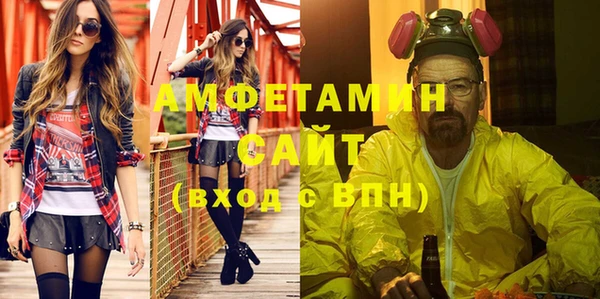прущие грибы Снежногорск