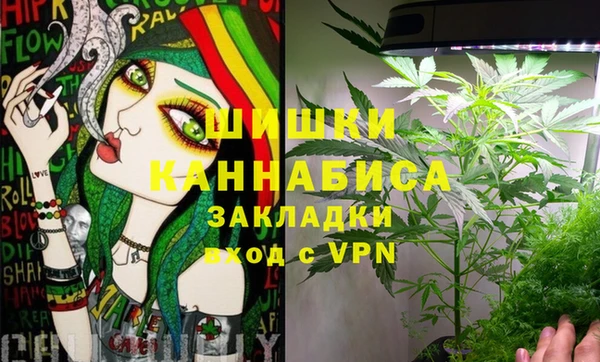 СК Слюдянка