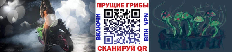 Галлюциногенные грибы ЛСД  Кировград 