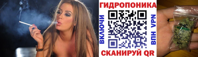 МАРИХУАНА семена  Кировград 